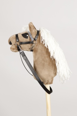 Izabelowaty classic 01