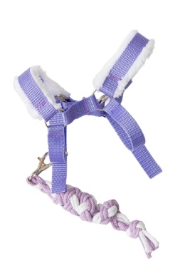 Kantar jasnofioletowy dla hobby horse A5 - 22