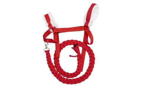 kantar dla hobby horse 2
