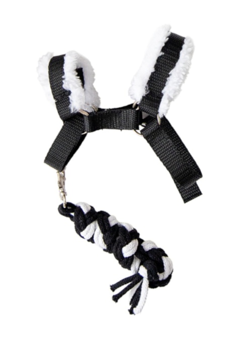 Zestaw akcesoriów A5 - 11 elementów - nr 16