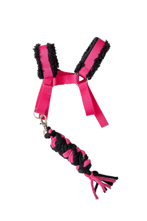 Zestaw akcesoriów A5 - 11 elementów - nr 1