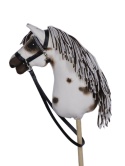 konik appallosa A3