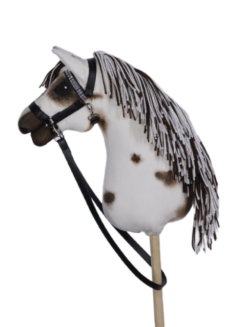 konik appallosa A3