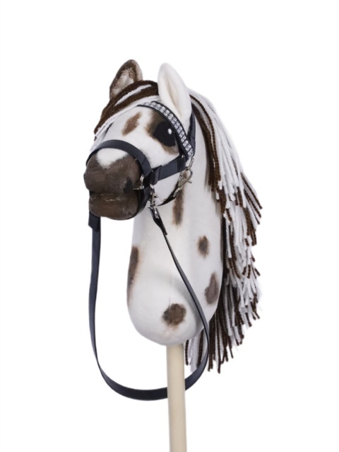 horsiak appallosa A4