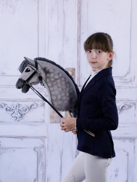 hobby horse malowany