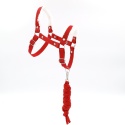 kantar czerwony dla hobby horse A4 nr2