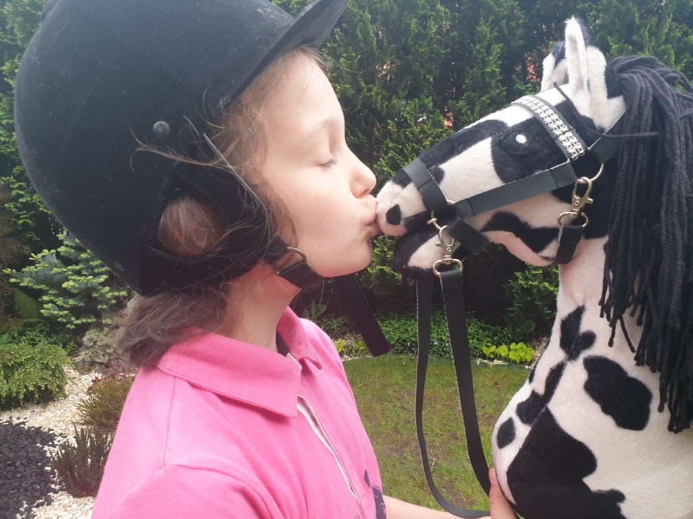 Czy Hobby Horse jest zakazany w Polsce?