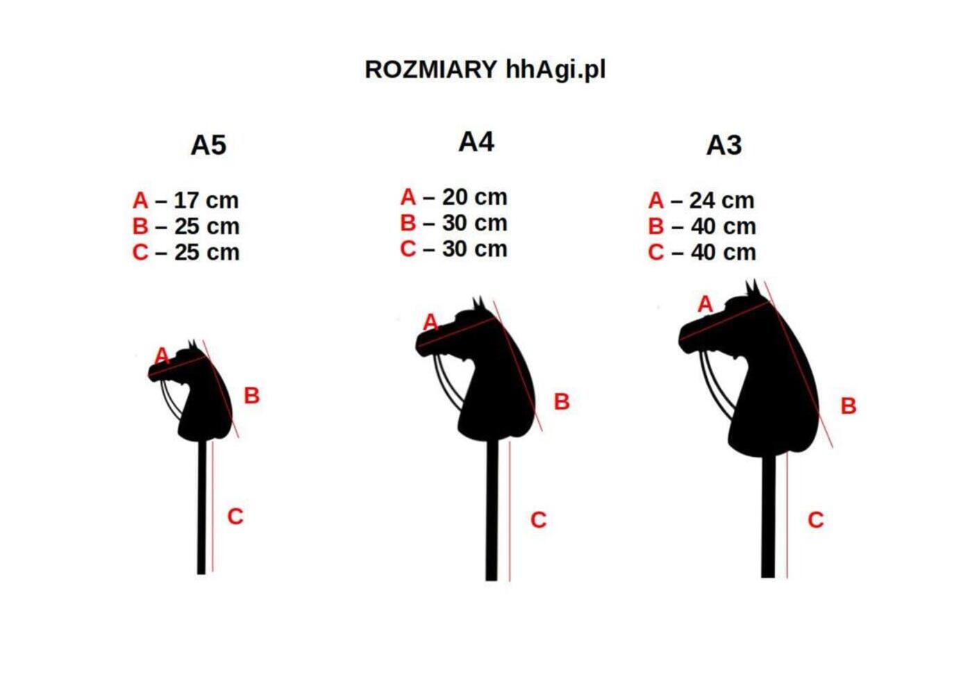 Jakie są rozmiary hobby horse?