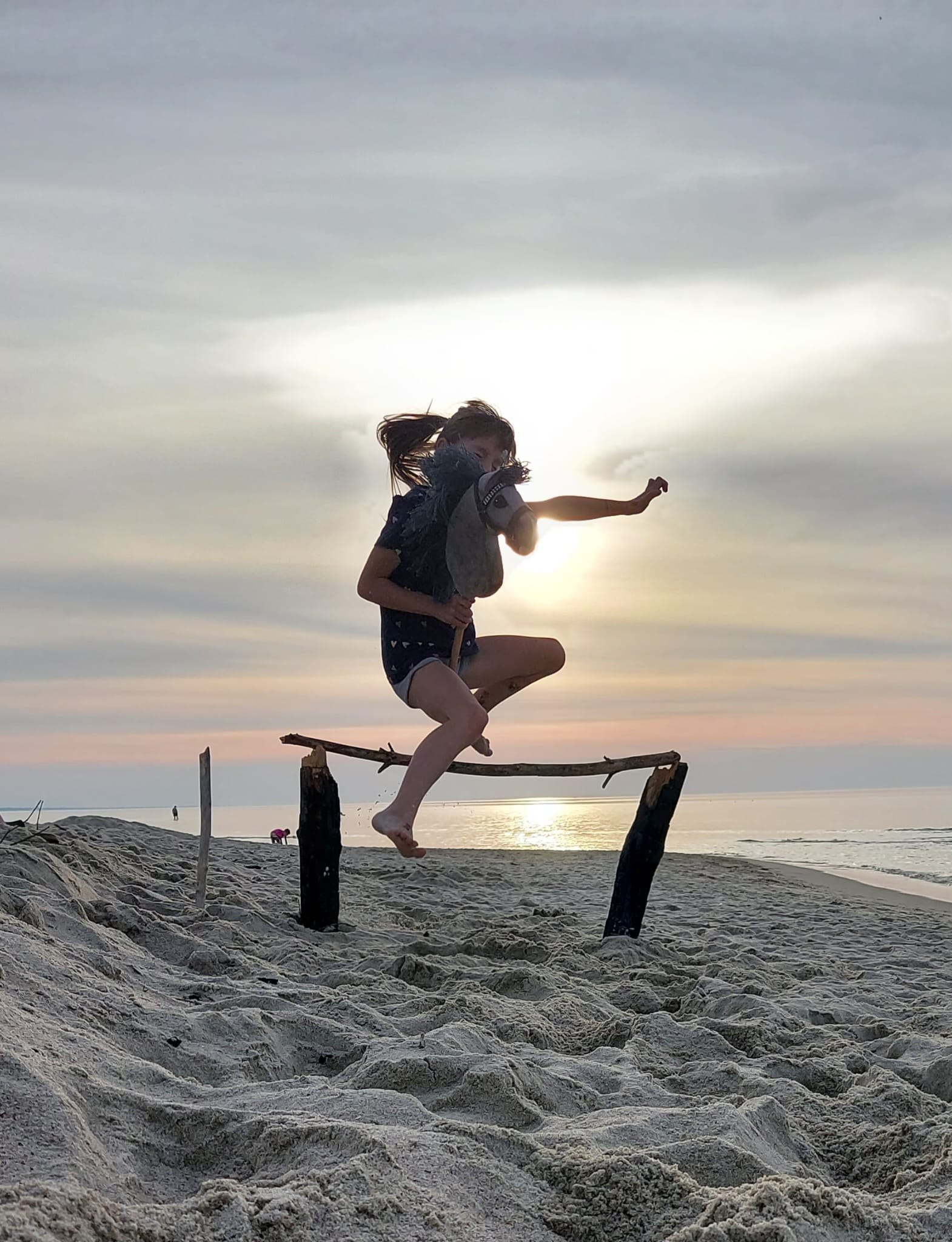 Porównanie polskich i chińskich koników hobby horse